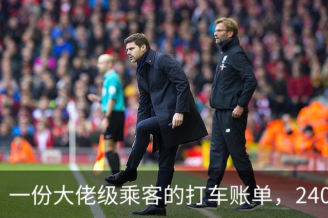 一份大佬级乘客的打车账单，2408个行程，车费总额更是登峰造极！