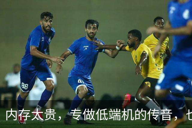 内存太贵，专做低端机的传音，也不想做低端机，还搞起副业来了