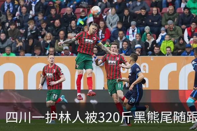 四川一护林人被320斤黑熊尾随跟了一天，无奈举起砍刀对峙