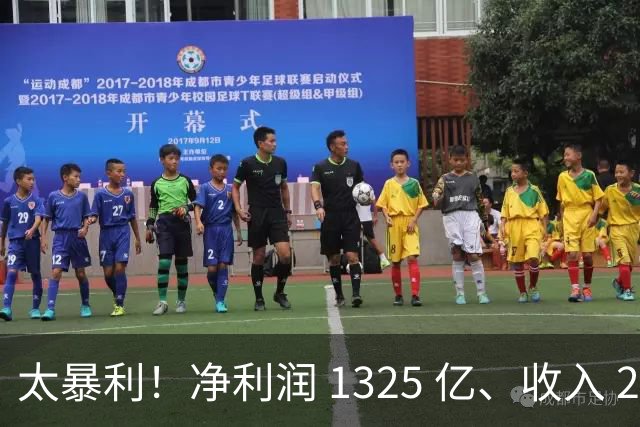 太暴利！净利润 1325 亿、收入 2700 亿（最高）