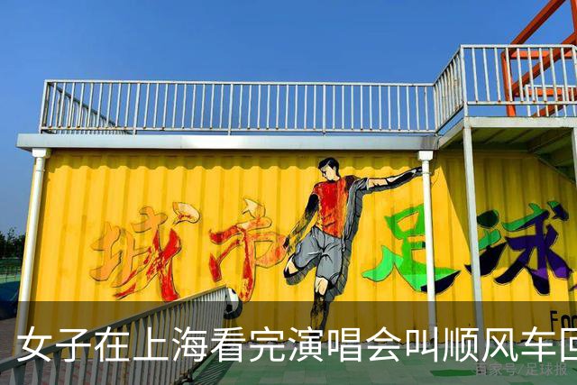 女子在上海看完演唱会叫顺风车回杭州，司机竟是自己，车费还照付