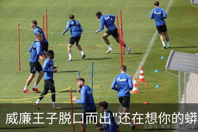 威廉王子脱口而出"还在想你的蟒蛇"，观众：他可是要当国王的人
