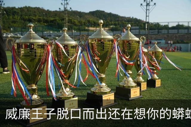 威廉王子脱口而出"还在想你的蟒蛇"，观众：他可是要当国王的人