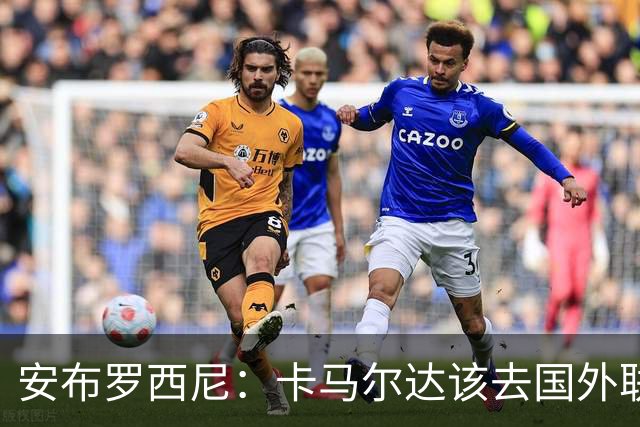 安布罗西尼：卡马尔达该去国外联赛踢球，看看特雷索尔迪表现