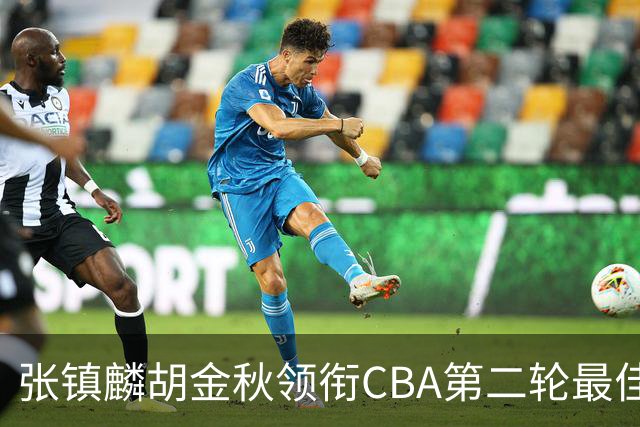 张镇麟胡金秋领衔CBA第二轮最佳阵容 付豪篮板称王
