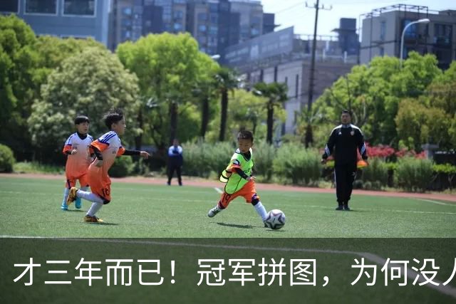 才三年而已！冠军拼图，为何没人要了？