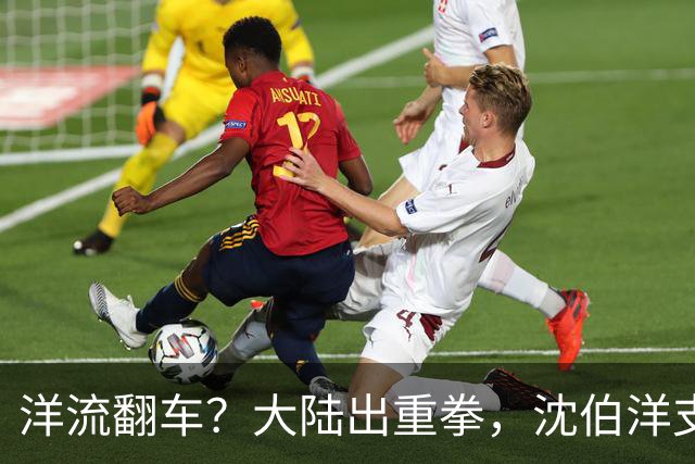 洋流翻车？大陆出重拳，沈伯洋支持者、亲属及同伙亲属被严厉制裁