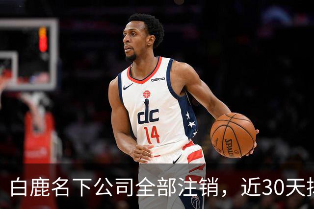 白鹿名下公司全部注销，近30天掉粉超144万，独立运营过渡期引关注