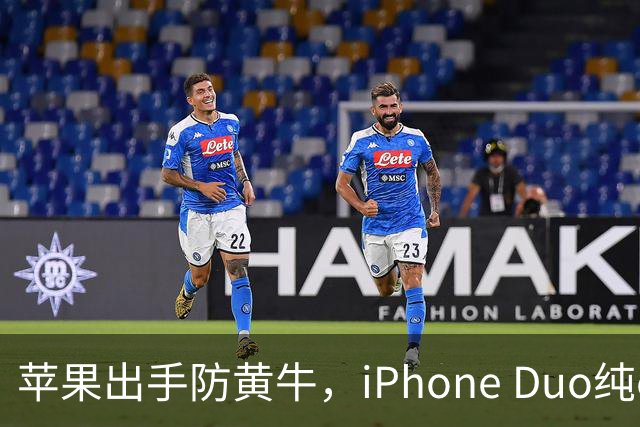 苹果出手防黄牛，iPhone Duo纯eSIM 劝退主力机用户