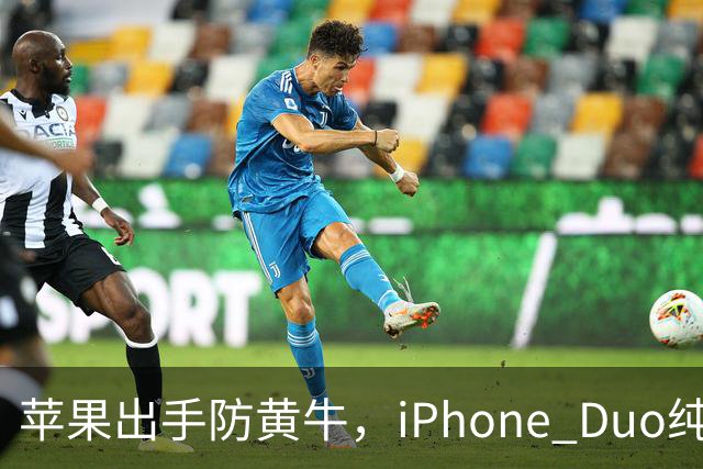 苹果出手防黄牛，iPhone Duo纯eSIM 劝退主力机用户