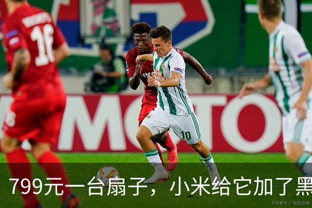 799元一台扇子，小米给它加了黑灰两色